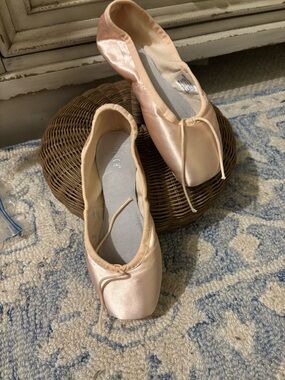 Bloch Pointe Shoes (Jet Stream/A/4.5)